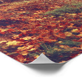 Biozid-Poster Poster (Ecke)