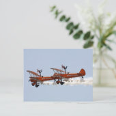Biplane aerobe Walker Postkarte (Stehend Vorderseite)