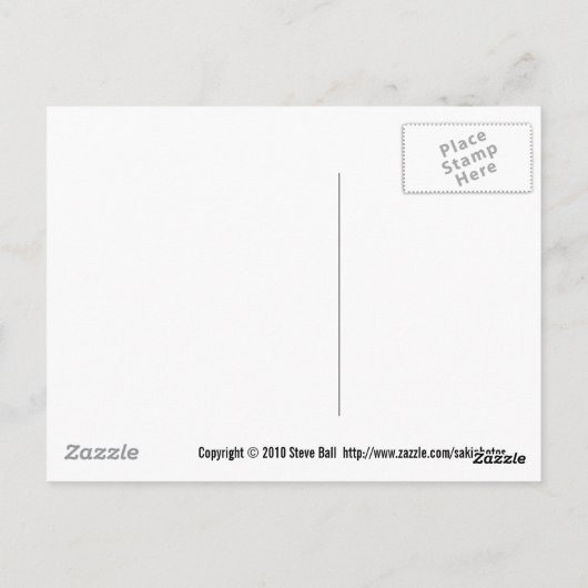 Biplane aerobe Walker Postkarte (Rückseite)