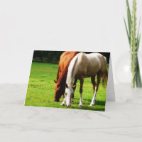 Biracial Horse Couple