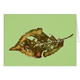 "Birch #2 Green" - Ländergrün