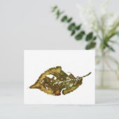 "Birch #2" Landstraßen Postkarte (Stehend Vorderseite)