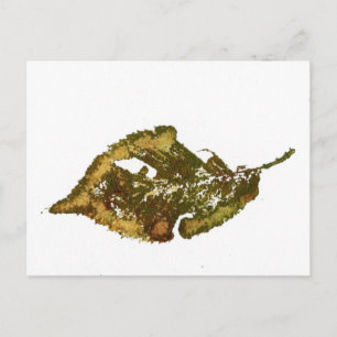 "Birch #2" Landstraßen Postkarte