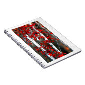 Birch#2-Notebook Notizblock (Rechte Seite)