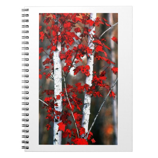 Birch#2-Notebook Notizblock (Vorderseite)