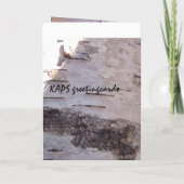 Birch Bark Birthday Humork Karte (Rückseite)