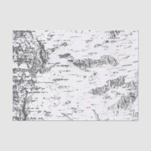 Birch Bark - einfach rustikal Seidenpapier