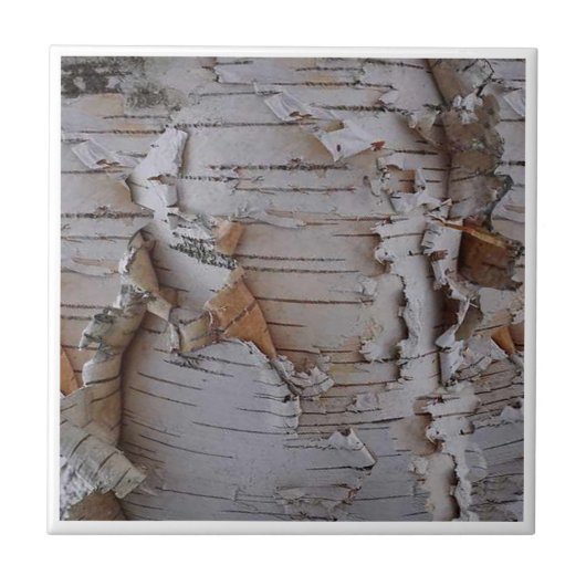 Birch Bark Fliese (Vorderseite)
