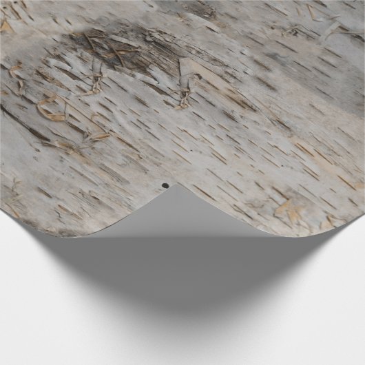 Birch Bark Geschenkpapier (Ecke)