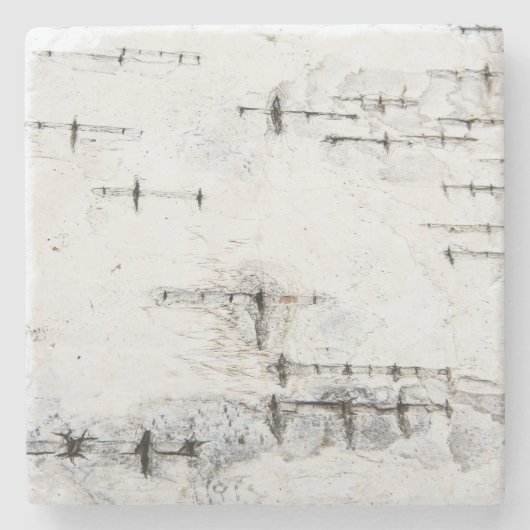 Birch Bark Karten Steinuntersetzer (Vorderseite)