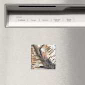 BIRCH BARK MAGNET (In Situ (Geschirrspüler))