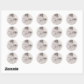 Birch bark pattern classic round sticker (Blatt)