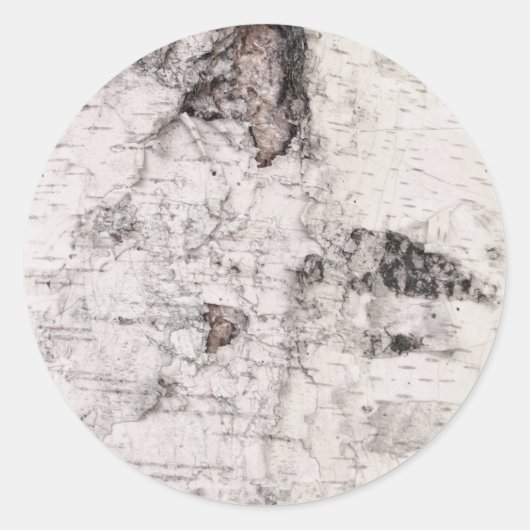 Birch bark pattern classic round sticker (Vorderseite)