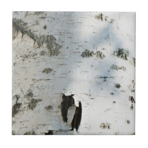 Birch bark pattern fliese
