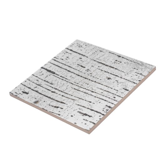 Birch bark pattern fliese (Seite)