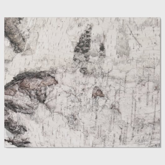 Birch bark pattern wrapping paper geschenkpapier (Flach)