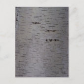Birch Bark Postkarte (Vorderseite)