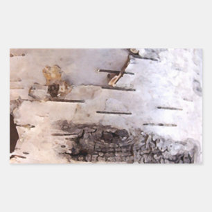 Birch Bark Rechteckiger Aufkleber
