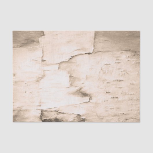 Birch Bark Tree Vintag Sepia Rustic Woodland Seidenpapier (Vorderseite)
