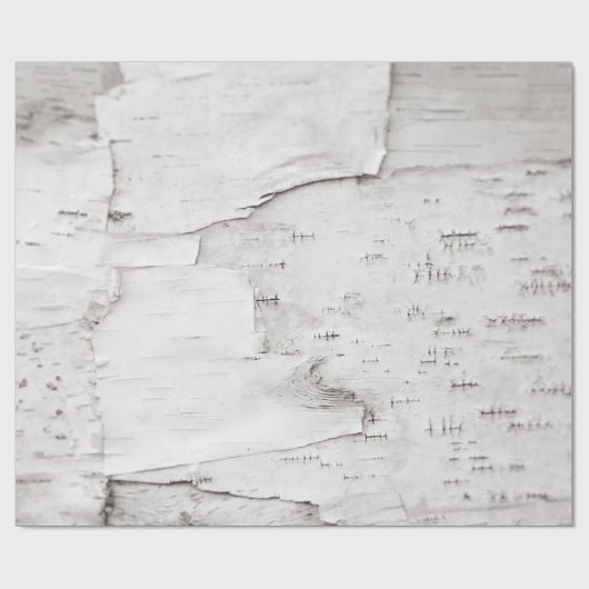 Birch Bark Tree Weiße Landwälder Geschenkpapier (Flach)