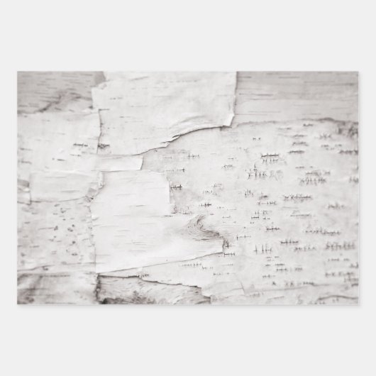 Birch Bark Tree Weiße Landwälder Geschenkpapier Set (Vorderseite 2)