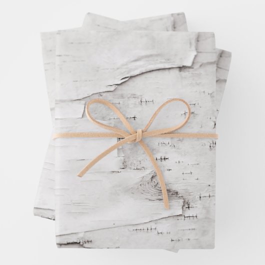 Birch Bark Tree Weiße Landwälder Geschenkpapier Set (Beispiel)