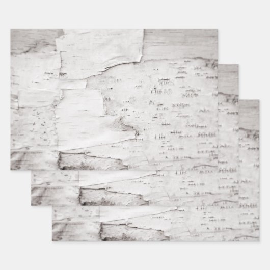 Birch Bark Tree Weiße Landwälder Geschenkpapier Set (Set)