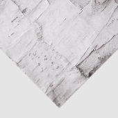 Birch Bark Tree Weiße Landwälder Seidenpapier (Ausschnitt)