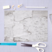 Birch Bark Tree Weiße Landwälder Seidenpapier (Handwerk)