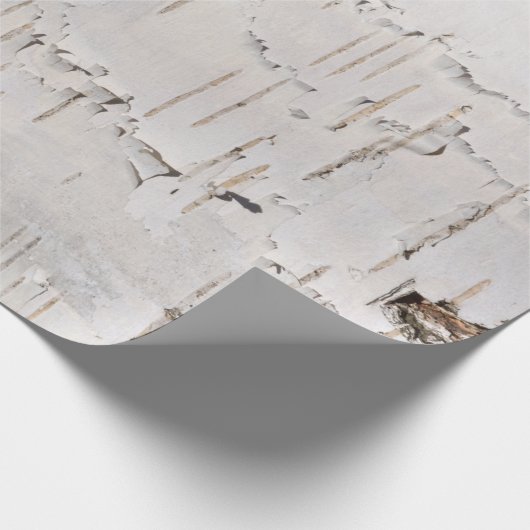 Birch Bark White Rustic Holiday Geschenk Geschenkpapier (Ecke)