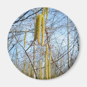Birch Catkins Magnet (Vorne)