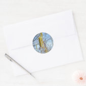 Birch Catkins Stickers (Umschlag)