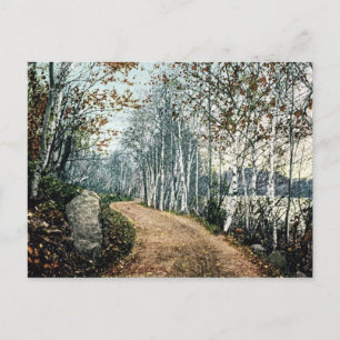 Birch Dr., Lake George NY Postage Postcard Postkarte