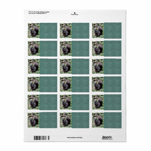 Birch-Eichhörnchen Adressaufkleber (Vorne)