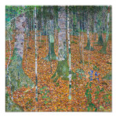 Birch Forest | Gustav Klimt | Fotodruck (Vorne)