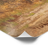 Birch Forest - Hugo Mühlig Poster (Ecke)