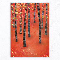 Birch Forest Landscape