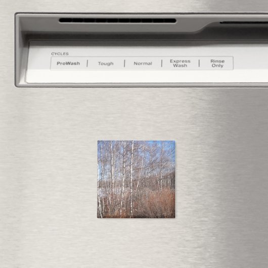 Birch Forest Magnet (In Situ (Geschirrspüler))