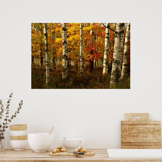 Birch Forest Poster (Küche)