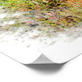 Birch Forest Print Poster (Ecke)