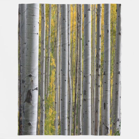 Birch Forest rustikale Fleece Decke (Vorderseite)