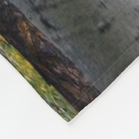 Birch Forest rustikale Fleece Decke (Ecke)