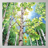 Birch Forest Watercolor Painting Poster (Vorne)