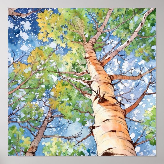 Birch Forest Watercolor Painting Poster (Vorne)