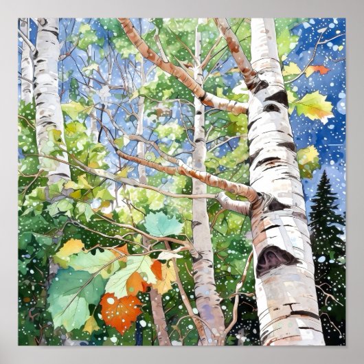 Birch Forest Watercolor Painting Poster (Vorne)