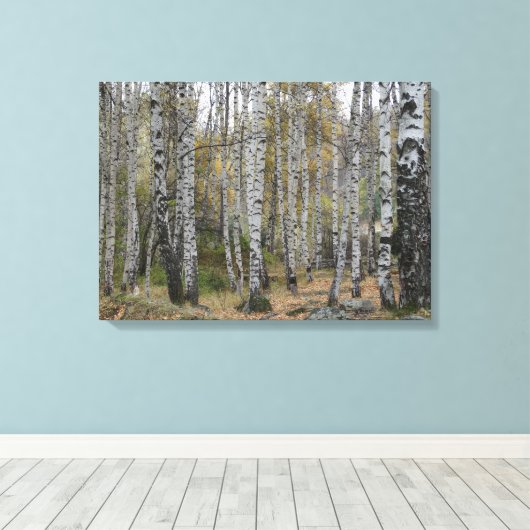 Birch Forrest Herbst Foto Single Leinwanddruck (Insitu (Holzboden))