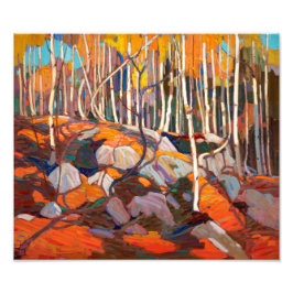 Birch Grove, Herbst | Tom Thomson | Fotodruck