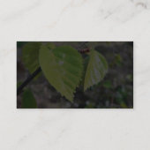 Birch grüne Blätter Visitenkarte (Rückseite)