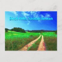 Birch Hills SK Postcard - Landstraße