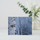 Birch im Winter weinen Postkarte (Stehend Vorderseite)